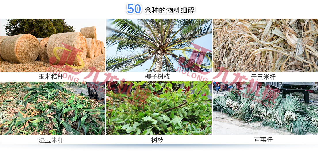 生物質綜合破碎破碎前